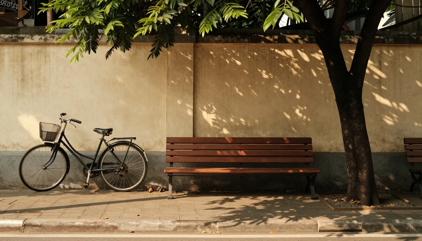 A bench and bicycle in the long afternoon shadow of a tree on a quiet street